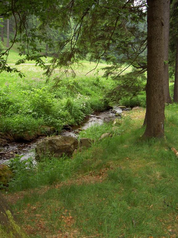 Gasthof 'Zum Reifberg' Ilmenau Exteriör bild